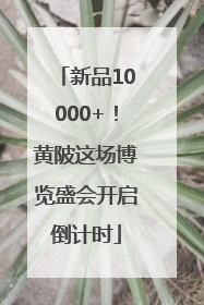 新品10000+！黄陂这场博览盛会开启倒计时