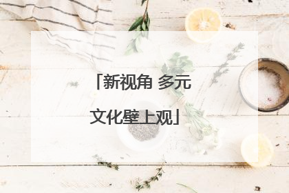 新视角 多元文化壁上观