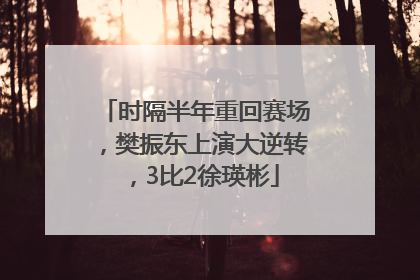 时隔半年重回赛场，樊振东上演大逆转，3比2徐瑛彬
