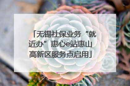 无锡社保业务“就近办”惠心e站惠山高新区服务点启用