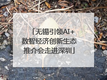 无锡引领AI+数智经济创新生态推介会走进深圳