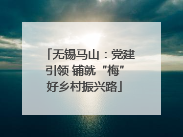 无锡马山：党建引领 铺就“梅”好乡村振兴路