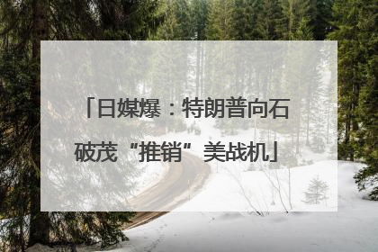 日媒爆：特朗普向石破茂“推销”美战机