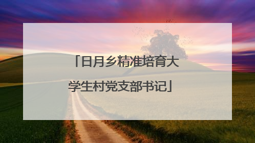 日月乡精准培育大学生村党支部书记
