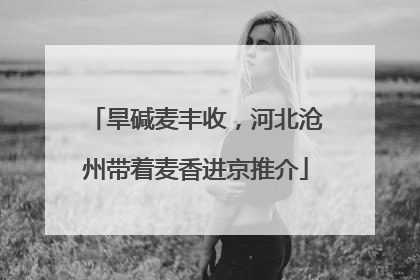 旱碱麦丰收，河北沧州带着麦香进京推介