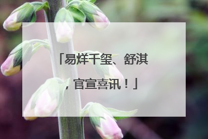 易烊千玺、舒淇，官宣喜讯！