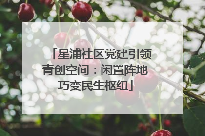 星浦社区党建引领青创空间：闲置阵地巧变民生枢纽