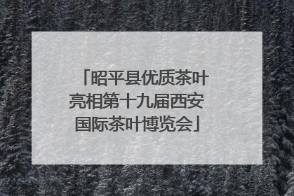 昭平县优质茶叶亮相第十九届西安国际茶叶博览会