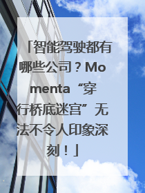 智能驾驶都有哪些公司？Momenta“穿行桥底迷宫”无法不令人印象深刻！