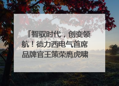 智驭时代，创变领航！德力西电气首席品牌官王策荣膺虎啸奖年度品牌人物