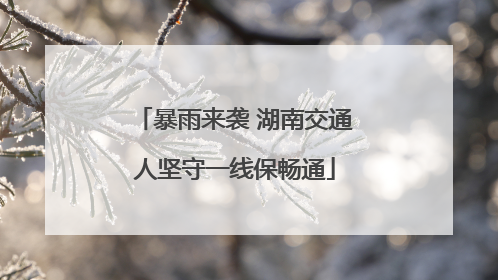 暴雨来袭 湖南交通人坚守一线保畅通