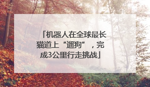 机器人在全球最长猫道上“遛狗”，完成3公里行走挑战