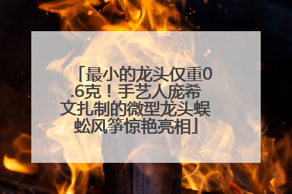 最小的龙头仅重0.6克！手艺人庞希文扎制的微型龙头蜈蚣风筝惊艳亮相