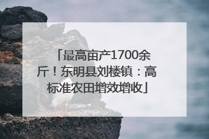 最高亩产1700余斤！东明县刘楼镇：高标准农田增效增收