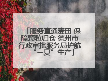 服务直通麦田 保障颗粒归仓 德州市行政审批服务局护航“三夏”生产