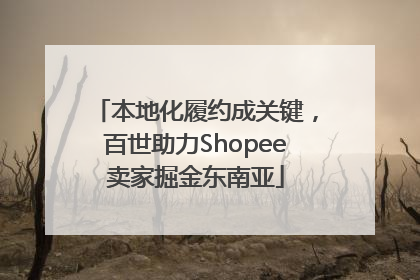 本地化履约成关键，百世助力Shopee卖家掘金东南亚