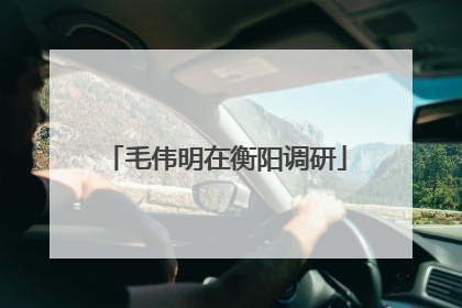 毛伟明在衡阳调研