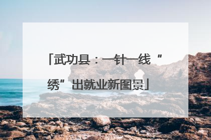 武功县：一针一线“绣”出就业新图景