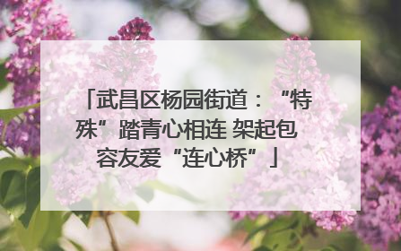 武昌区杨园街道：“特殊”踏青心相连 架起包容友爱“连心桥”