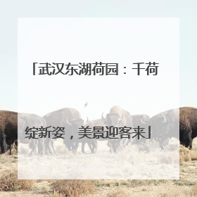 武汉东湖荷园：千荷绽新姿，美景迎客来