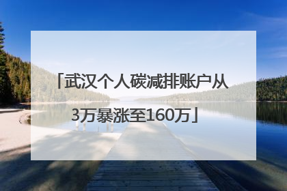 武汉个人碳减排账户从3万暴涨至160万