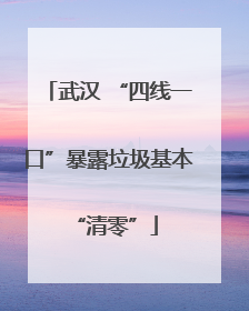 武汉 “四线一口”暴露垃圾基本 “清零”