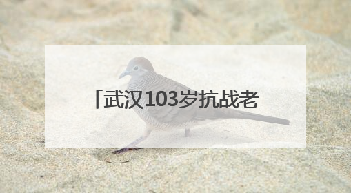 武汉103岁抗战老兵再喊80年前劝日军投降的话 “缴枪不杀，放你回家”