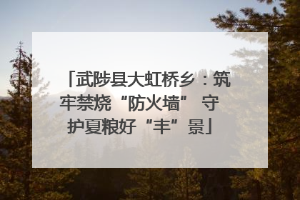 武陟县大虹桥乡：筑牢禁烧“防火墙” 守护夏粮好“丰”景
