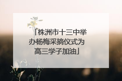 株洲市十三中举办杨梅采摘仪式为高三学子加油