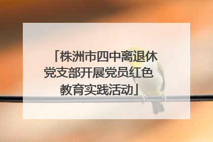 株洲市四中离退休党支部开展党员红色教育实践活动
