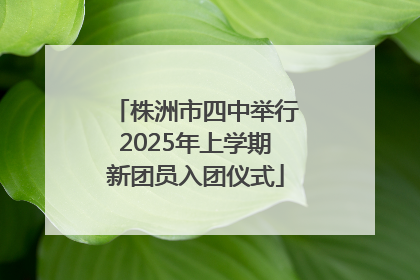株洲市四中举行2025年上学期新团员入团仪式