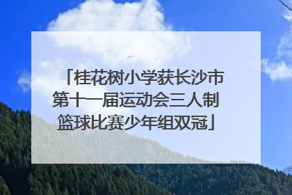 桂花树小学获长沙市第十一届运动会三人制篮球比赛少年组双冠