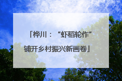 桦川：“虾稻轮作”铺开乡村振兴新画卷