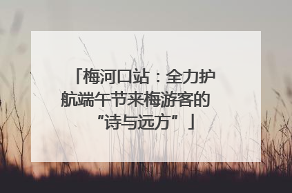梅河口站：全力护航端午节来梅游客的“诗与远方”