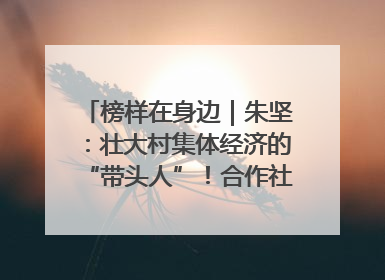 榜样在身边｜朱坚：壮大村集体经济的“带头人”！合作社经营收入三年内突破1200万元