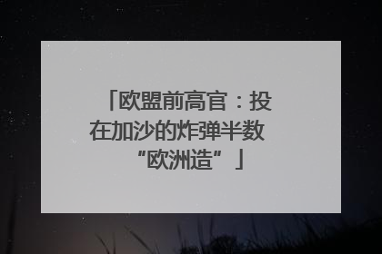 欧盟前高官：投在加沙的炸弹半数“欧洲造”
