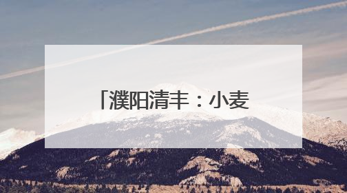 濮阳清丰：小麦丰收季 “一条龙”作业开启农业高效新篇章