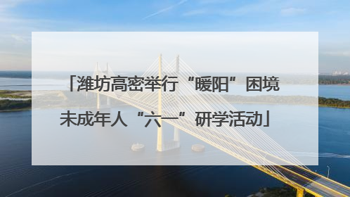 潍坊高密举行“暖阳”困境未成年人“六一”研学活动