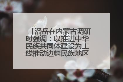 潘岳在内蒙古调研时强调：以推进中华民族共同体建设为主线推动边疆民族地区高质量发展