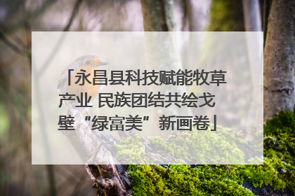 永昌县科技赋能牧草产业 民族团结共绘戈壁“绿富美”新画卷