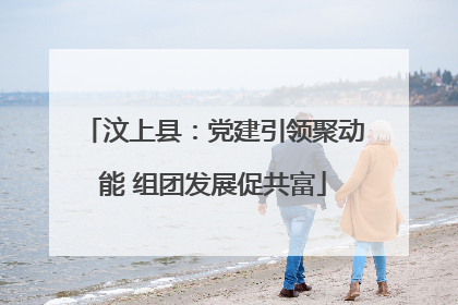 汶上县：党建引领聚动能 组团发展促共富
