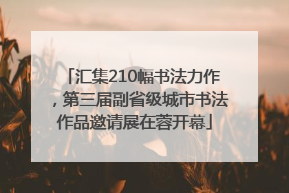 汇集210幅书法力作，第三届副省级城市书法作品邀请展在蓉开幕