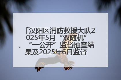汉阳区消防救援大队2025年5月“双随机”、“一公开”监督抽查结果及2025年6月监督抽查任务公示