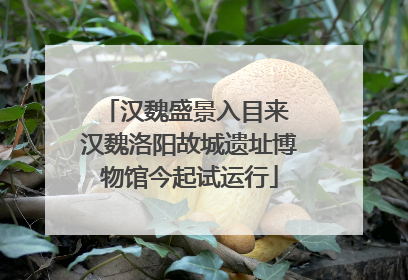 汉魏盛景入目来 汉魏洛阳故城遗址博物馆今起试运行