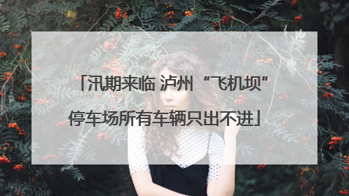 汛期来临 泸州“飞机坝”停车场所有车辆只出不进