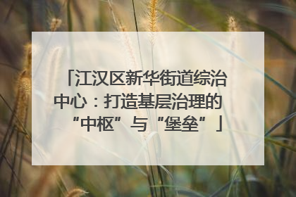 江汉区新华街道综治中心：打造基层治理的“中枢”与“堡垒”