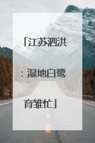 江苏泗洪：湿地白鹭育雏忙