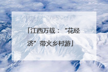 江西万载：“花经济”带火乡村游
