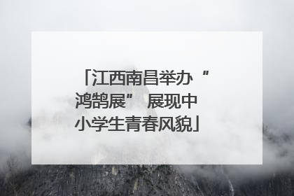 江西南昌举办“鸿鹄展” 展现中小学生青春风貌