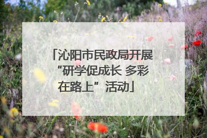 沁阳市民政局开展“研学促成长 多彩在路上”活动